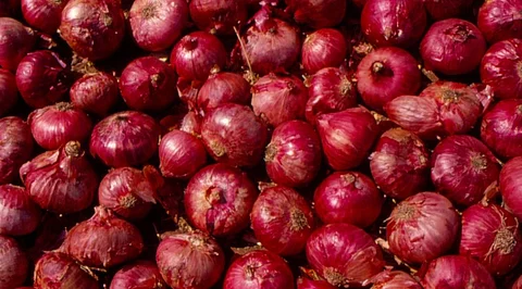 Farmers at Lasalgaon are getting a meagre Rs 7-Rs 10 for a kilogram of onions on average. Photo credit: CSE