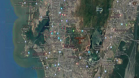 The apex court said the ‘tree authority of the BMC will be at liberty to take an independent decision and impose conditions as deemed fit’.