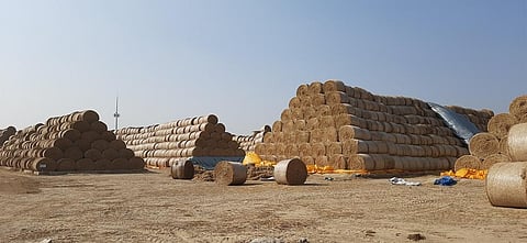 Due to low off-take demand by the oil marketing companies, the largest paddy straw-based bio-CNG plant (33 TPD) in India is currently operating at 5 TPD capacity. Photo: Rahul Jain.