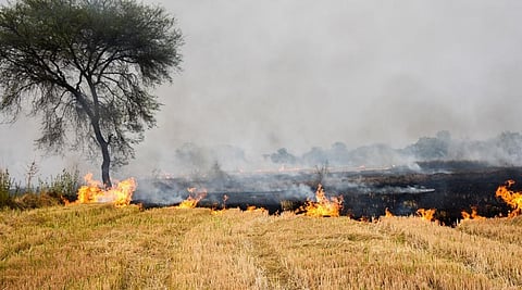 Barnala, Sangrur, Patiala, Moga, Ludhiana and Fatehgarh Sahib are located in the Malwa region between the Sutlej and Ghaggar rivers. Photo: iStock