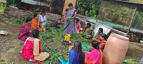 The non-profit encourages fellow women farmers from marginalised communities to diversify and increase crop cycles on small land holdings. Photo: Swayam Shikshan Prayog.