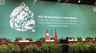 Photo: @UNEP / Twitter