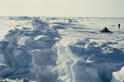 Past reports show us temperatures in the Arctic are rising twice as fast as in the rest of the world. Photo: Wikimedia Commons