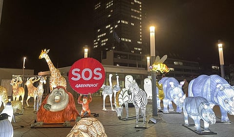 Photo: @AndreaMeza76 / Twitter