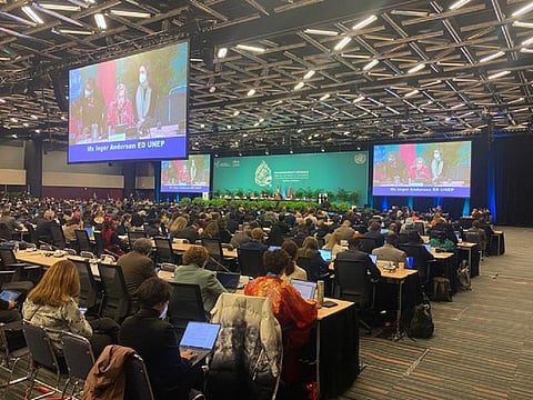 Inger Andersen, executive director of the United Nations Environment Programme, requested the participants to remove brackets and finalise the Post-2020 Global Biodiversity Framework text during the next few days. Photo: UNEP.