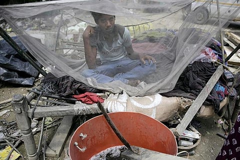 मलेरिया से हर 51 सेकंड में जा रही एक की जान, 2021 में 25 करोड़ लोग पड़े बीमार