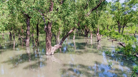 Around 330 million children (one in seven children globally) are highly exposed to riverine flooding. Photo: iStock