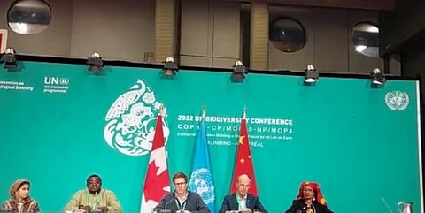COP15 Montreal: Why are human rights in brackets in the post-2020 GBF, asks civil society