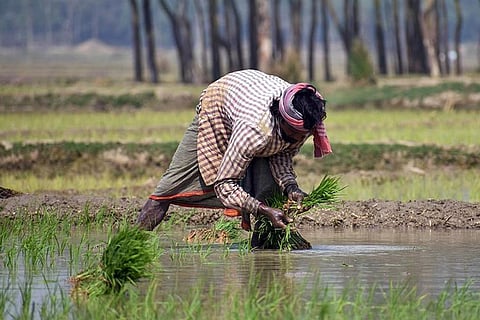 जलवायु परिवर्तन तय करेगा साल में कितनी फसलें होंगी तैयार, भारत पर भी पड़ेगा असर