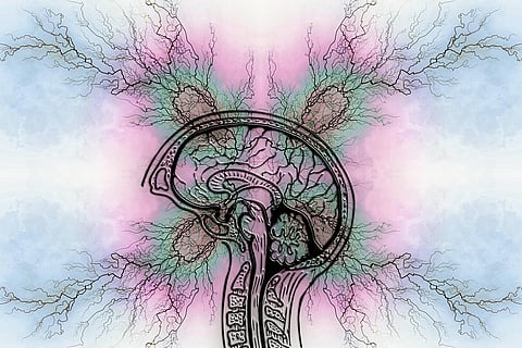 जलवायु में आते बदलावों से बढ़ रहा है न्यूरोलॉजिकल डिजीज और स्ट्रोक का जोखिम