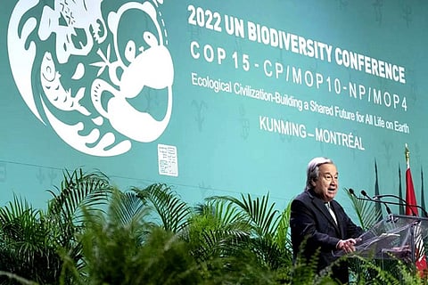 सीबीडी कॉप-15: प्रकृति के साथ शांति समझौते की दिशा में कोई बड़ी प्रगति नहीं हुई