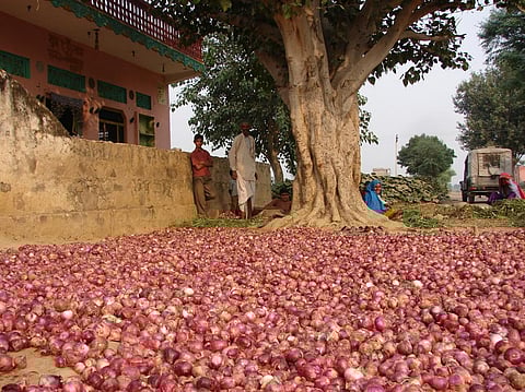 Photo: Kumar Sambhav Shrivastava / CSE