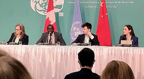 Photo: @WWF_UK_Politics / Twitter