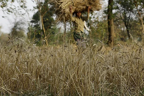 फोटो: विकास चौधरी/ सीएसई