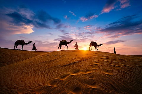 Animal husbandry has been the main source of income and medium of employment for most of the villagers in these oran areas for centuries, said the letter submitted by the villagers. Photo: iStock