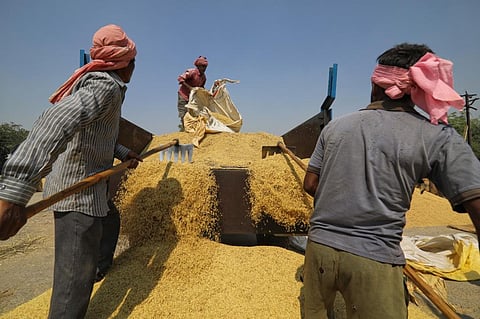 जलवायु परिवर्तन के प्रभावों से निपटने के लिए किसानों को सतत मूल्य श्रृंखलाओं की जरूरत