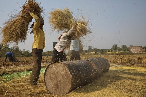 आर्थिक सर्वे 2022-23: कृषि क्षेत्र में घटता सरकार का निवेश, निजी निवेश और कर्ज से प्रगति की आस