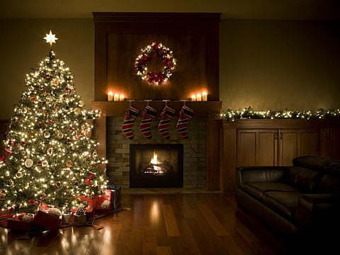 The pandemic created a big demand because most people stayed home and wanted to have Christmas trees in their houses. Photo: iStock