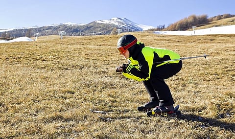 Photo: Dmitrijs Bindemanis / shutterstock