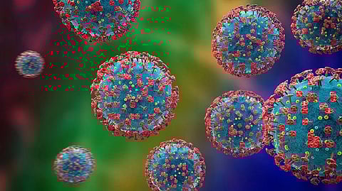 More than 650 sub-variants of omicron are currently under circulation. Photo: iStock.