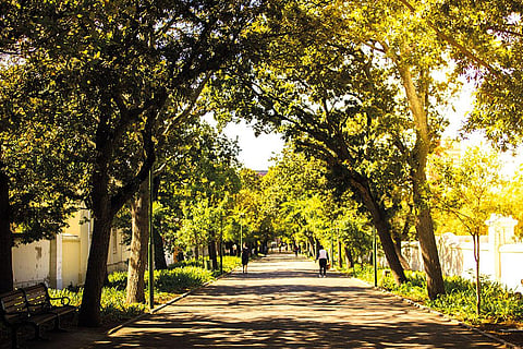 शोध में बताया गया है कि हरे-भरे क्षेत्रों में हिंसक और संपत्ति दोनों अपराधों की दर कम होती है