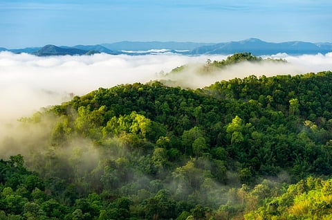 Photo: iStock