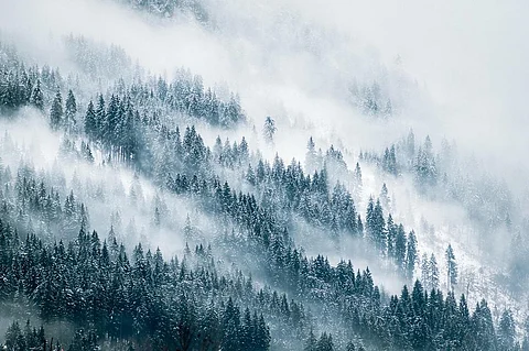 Photo: Istock