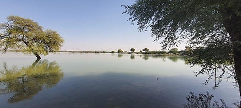 The pond spans an area of 20 hectares, a catchment area of nearly 10 kilometres. Photo: Vivek Kumar Sah.