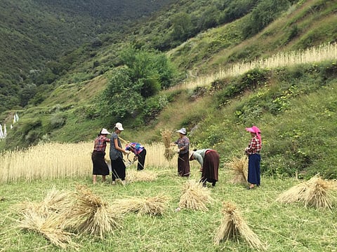 Women working in rural China close to the Tibetan border. Photo: Yuan Chen, Author provided