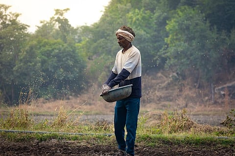 Many farmers have reported a higher frequency of irrigation because of long dry spells during Kharif and high temperatures in the summer months. Photo: iStock.