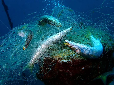 Plastic contributes significantly to the growing burden of marine debris. Photo: iStock.