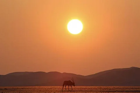 फोटो:विश्व मौसम विज्ञान संगठन (डब्ल्यूएमओ)