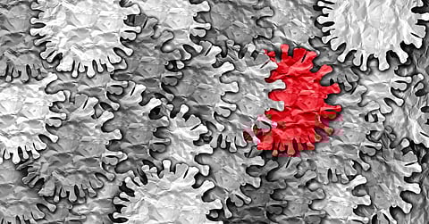 XBB.1.5 is rapidly spreading across the globe and will likely become the next dominant COVID-19 subvariant. Photo: Shutterstock