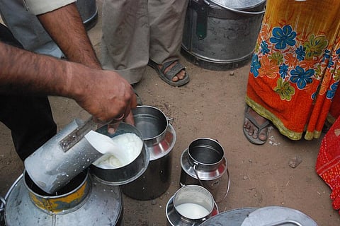 फोटो साभार : सीएसई