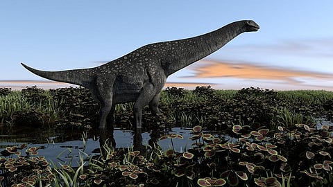 Fossilised eggs provide clues on reproductive biology, nesting behaviour and parental care. Image: iStock.