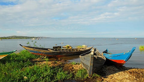 Lake Victoria is shared by three countries, Tanzania, Uganda and Kenya. Photo: iStock