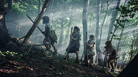 It’s not generally recognised how unique features of Africa’s ecology were responsible for the crucial evolutionary transitions from forest-inhabiting fruit-eater to savanna-dwelling hunter. Photo from iStock for representation