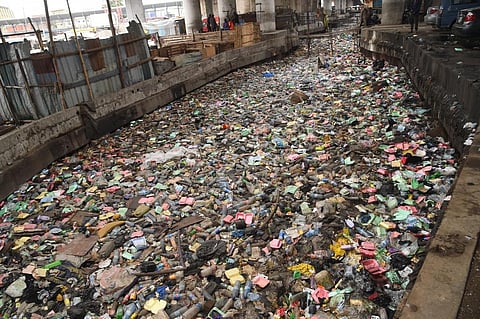 Plastic pollution in Nigeria: whose job is it to clean up the mess?