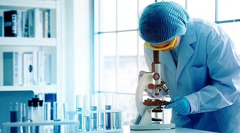Funding is needed for basic sciences or curiosity-driven sciences, pointed out experts. Photo: iStock