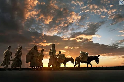 China’s demand for Africa’s donkeys is rising. Why it’s time to control the trade