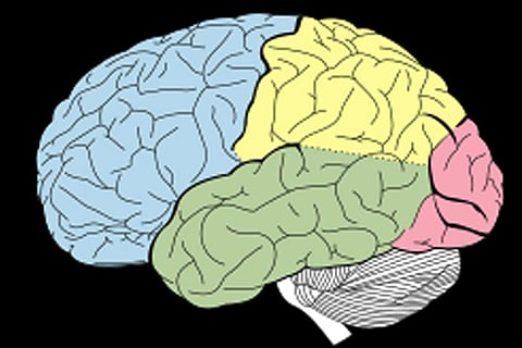 फोटो साभार : विकिमीडिया कॉमन्स