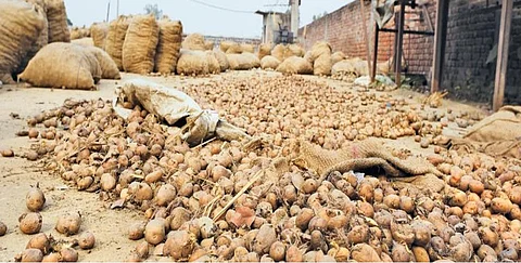 अमोनिया गैस रिसाव से बचाव की योजना के बिना नहीं चलने चाहिए कोल्ड स्टोरेज: यूपीपीसीबी