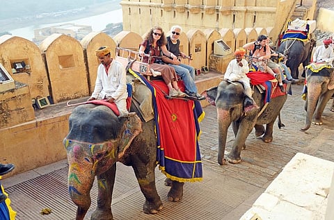 Travelling responsibly means not including captive wildlife entertainment on the itinerary and refusing to book a holiday with such an offering. Representative photo: iStock.