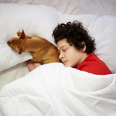 If the findings can be confirmed in those with healthy sleep, this would be the first concrete proof suggesting we change sleep patterns with respect to seasons. Representative photo: iStock.