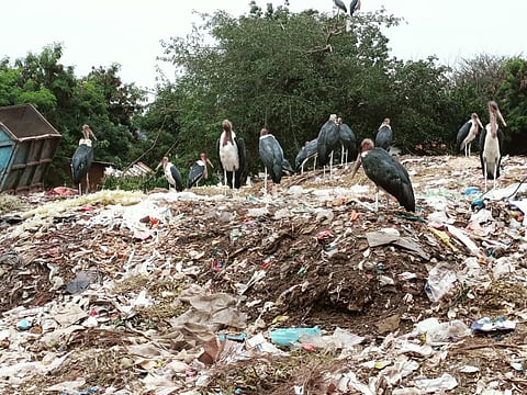 Overflowing waste at a collection centre in Mwanza city, Tanzania. Photo: CSE