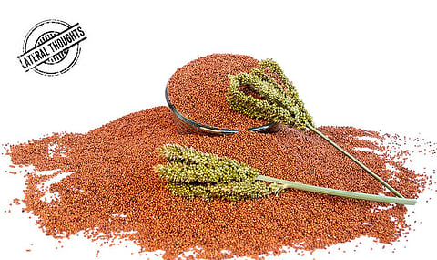 A total of nine millets are now being researched under the guidance of the Indian Institute of Millet Research in Hyderabad including Ragi. Photo: iStock