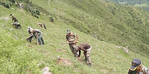 The significance of ecological restoration has become more apparent recently due to the danger of global warming and climate change. Photo: 127 Eco TA.