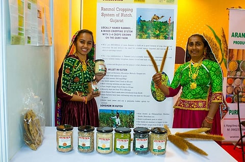 Farmers from Kutch displaying millet grain and value-added products at the People's Convention on Millets for Millions held in New Delhi. Photo: Abhijit Mohanty.