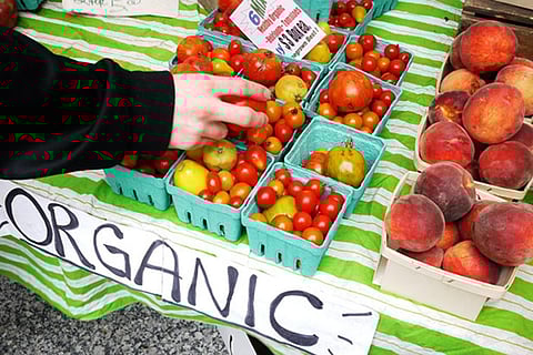 फोटो साभार : विकिमीडिया कॉमन्स