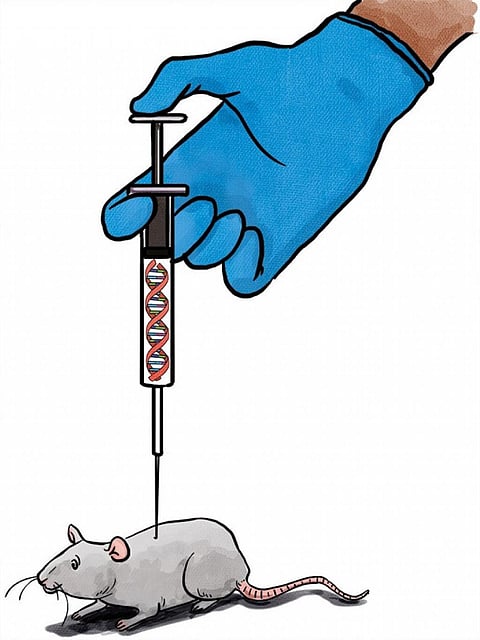 Illustration: Yogendra Anand
